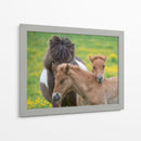 Caballos Islandeses Iv - P.H. Burchett | Cuadro decorativo de Canvas Lab