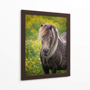 Caballos Islandeses V - P.H. Burchett | Cuadro decorativo de Canvas Lab