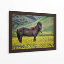 Caballos Islandeses Vi - P.H. Burchett | Cuadro decorativo de Canvas Lab