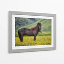 Caballos Islandeses Vi - P.H. Burchett | Cuadro decorativo de Canvas Lab
