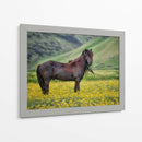 Caballos Islandeses Vi - P.H. Burchett | Cuadro decorativo de Canvas Lab