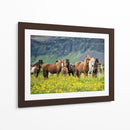 Caballos Islandeses Vii - P.H. Burchett | Cuadro decorativo de Canvas Lab