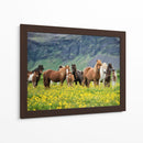 Caballos Islandeses Vii - P.H. Burchett | Cuadro decorativo de Canvas Lab