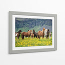 Caballos Islandeses Vii - P.H. Burchett | Cuadro decorativo de Canvas Lab
