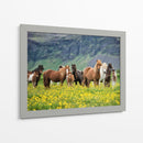 Caballos Islandeses Vii - P.H. Burchett | Cuadro decorativo de Canvas Lab