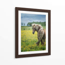 Caballos Islandeses Viii - P.H. Burchett | Cuadro decorativo de Canvas Lab
