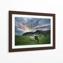Caballos Islandeses Ix - P.H. Burchett | Cuadro decorativo de Canvas Lab