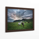 Caballos Islandeses Ix - P.H. Burchett | Cuadro decorativo de Canvas Lab