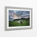 Caballos Islandeses Ix - P.H. Burchett | Cuadro decorativo de Canvas Lab