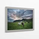 Caballos Islandeses Ix - P.H. Burchett | Cuadro decorativo de Canvas Lab