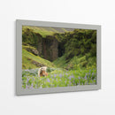 Caballos Islandeses Xi - P.H. Burchett | Cuadro decorativo de Canvas Lab