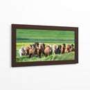 Caballos Islandeses Xii - P.H. Burchett | Cuadro decorativo de Canvas Lab