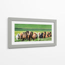 Caballos Islandeses Xii - P.H. Burchett | Cuadro decorativo de Canvas Lab