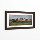 Caballos Islandeses Xiii - P.H. Burchett | Cuadro decorativo de Canvas Lab