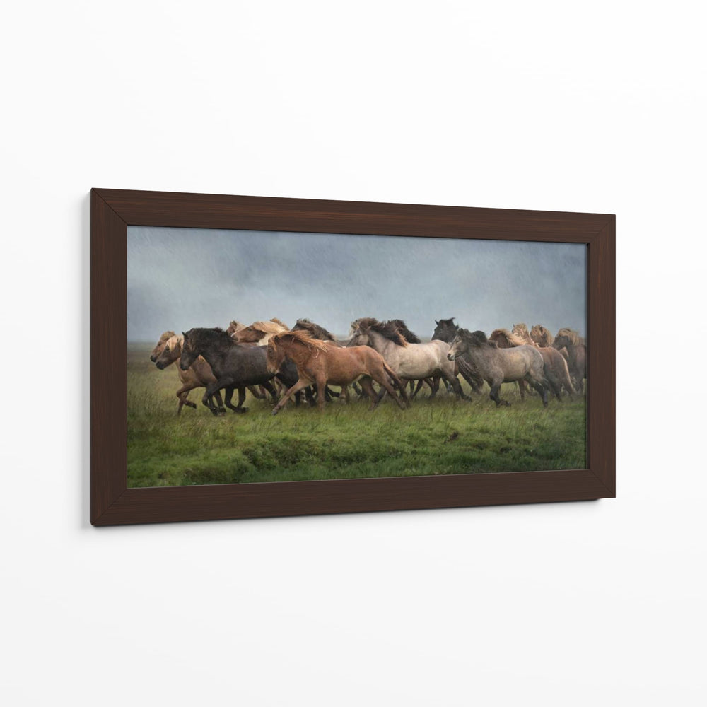 Caballos Islandeses Xiii - P.H. Burchett | Cuadro decorativo de Canvas Lab
