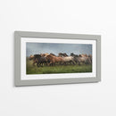 Caballos Islandeses Xiii - P.H. Burchett | Cuadro decorativo de Canvas Lab