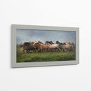Caballos Islandeses Xiii - P.H. Burchett | Cuadro decorativo de Canvas Lab