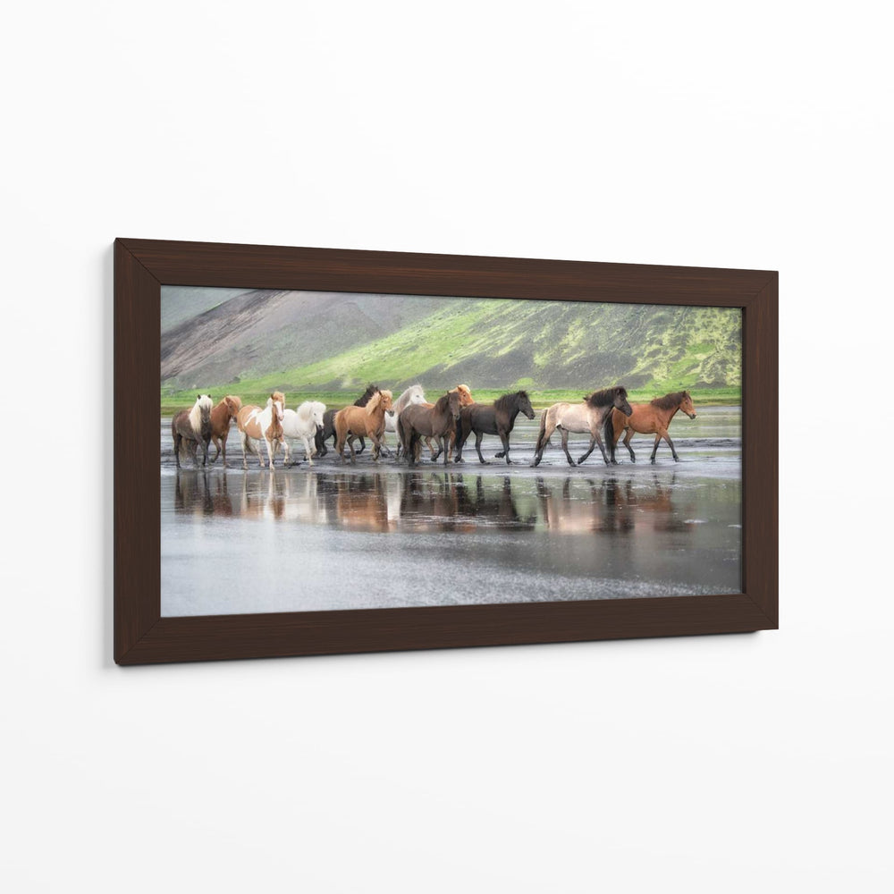 Caballos Islandeses Xiv - P.H. Burchett | Cuadro decorativo de Canvas Lab