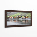 Caballos Islandeses Xiv - P.H. Burchett | Cuadro decorativo de Canvas Lab