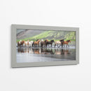 Caballos Islandeses Xiv - P.H. Burchett | Cuadro decorativo de Canvas Lab
