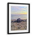 Bienvenida al mundo, tortuga | Cuadro decorativo de Canvas Lab