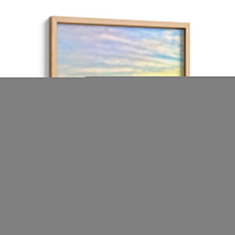 Bienvenida al mundo, tortuga | Cuadro decorativo de Canvas Lab