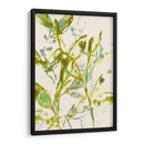 Hojas De Acuarela Ii - Jennifer Goldberger | Cuadro decorativo de Canvas Lab