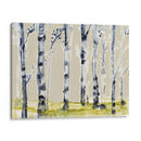 Pergamino Birchline I - Jennifer Goldberger | Cuadro decorativo de Canvas Lab