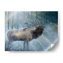 Elk Journey Iii - B. Lynnsy | Cuadro decorativo de Canvas Lab