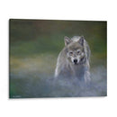 Misty Wild I - B. Lynnsy | Cuadro decorativo de Canvas Lab