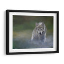 Misty Wild I - B. Lynnsy | Cuadro decorativo de Canvas Lab