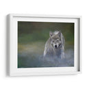 Misty Wild I - B. Lynnsy | Cuadro decorativo de Canvas Lab