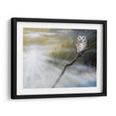 Misty Wild Ii - B. Lynnsy | Cuadro decorativo de Canvas Lab