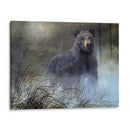 Misty Wild Iii - B. Lynnsy | Cuadro decorativo de Canvas Lab