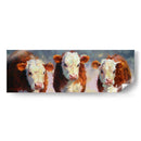 Terneros De Invierno - Carolyne Hawley | Cuadro decorativo de Canvas Lab