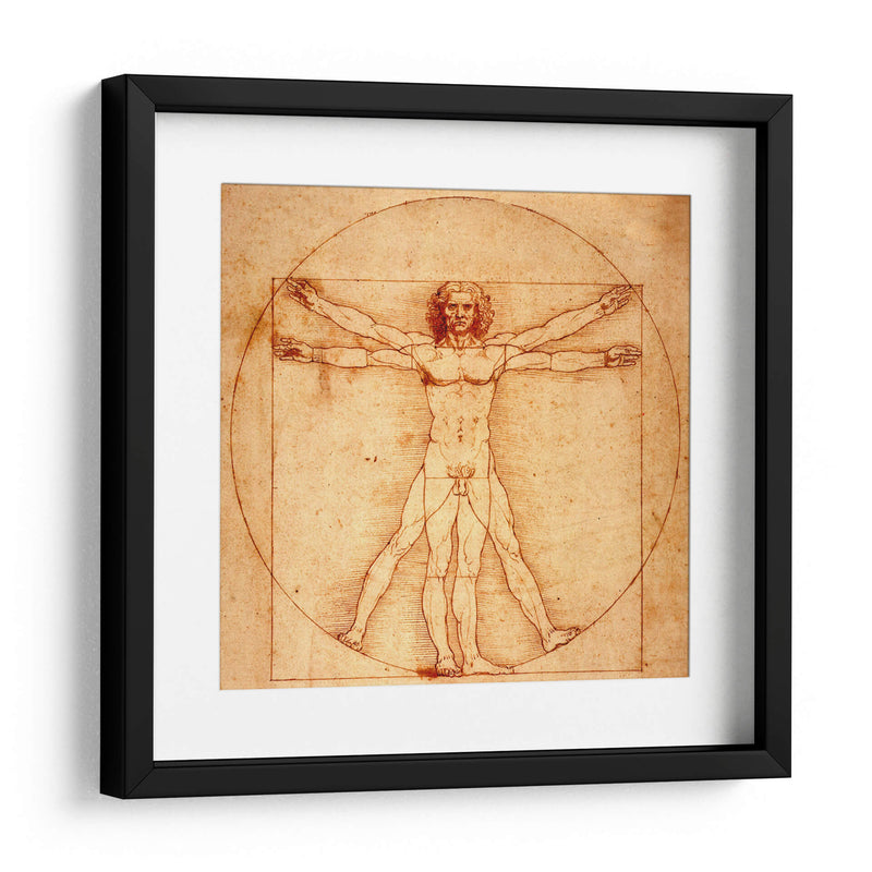 Hombre de Vitruvio - Leonardo da Vinci | Cuadro decorativo de Canvas Lab
