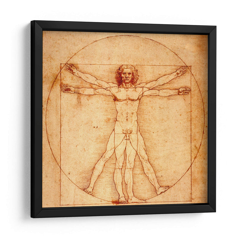Hombre de Vitruvio - Leonardo da Vinci | Cuadro decorativo de Canvas Lab