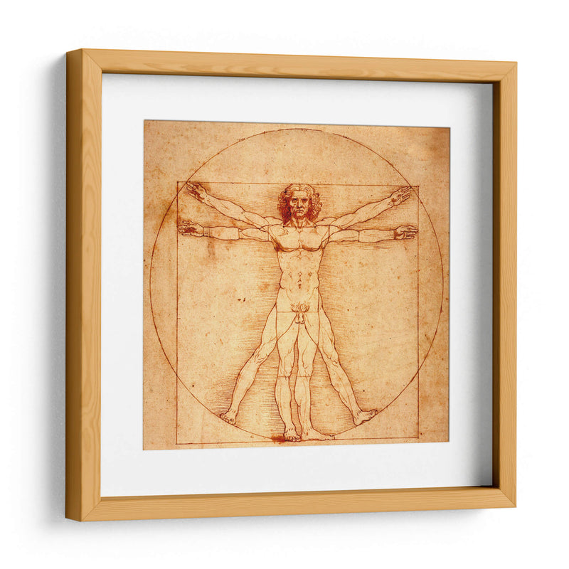 Hombre de Vitruvio - Leonardo da Vinci | Cuadro decorativo de Canvas Lab