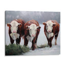 Sombras De Invierno - Carolyne Hawley | Cuadro decorativo de Canvas Lab