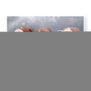 Sombras De Invierno - Carolyne Hawley | Cuadro decorativo de Canvas Lab