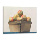 Frágil - No Toque Iii - Kevork Cholakian | Cuadro decorativo de Canvas Lab