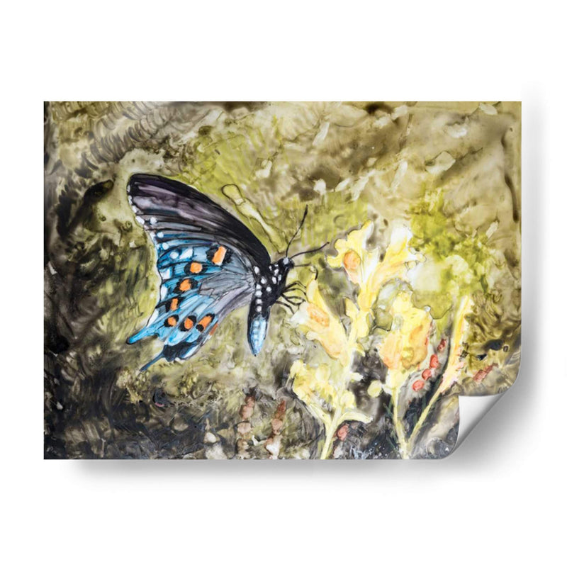 Mariposa En La Naturaleza I - B. Lynnsy | Cuadro decorativo de Canvas Lab