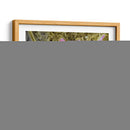 Mariposa En La Naturaleza Ii - B. Lynnsy | Cuadro decorativo de Canvas Lab