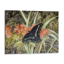 Mariposa En La Naturaleza Iii - B. Lynnsy | Cuadro decorativo de Canvas Lab