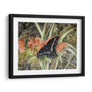 Mariposa En La Naturaleza Iii - B. Lynnsy | Cuadro decorativo de Canvas Lab