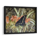 Mariposa En La Naturaleza Iii - B. Lynnsy | Cuadro decorativo de Canvas Lab