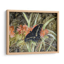 Mariposa En La Naturaleza Iii - B. Lynnsy | Cuadro decorativo de Canvas Lab