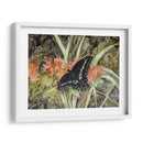 Mariposa En La Naturaleza Iii - B. Lynnsy | Cuadro decorativo de Canvas Lab