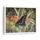 Mariposa En La Naturaleza Iii - B. Lynnsy | Cuadro decorativo de Canvas Lab