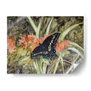 Mariposa En La Naturaleza Iii - B. Lynnsy | Cuadro decorativo de Canvas Lab